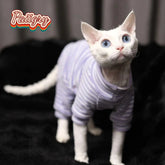 Hairless cat clothes tricolor four-legged clothes Sphinx warm high stretch home four-legged clothes pet clothing
