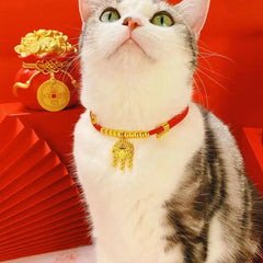 New Design Classic Adjustable Red String Cats Collar Pet collars safety locks cat collars dog necklaces accessories