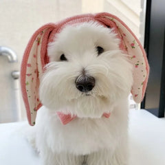 Dog Hat Autumn Winter Windproof Warmth Cover Cute Rabbit Ears Knitted Pet Cap Pink Ins Dogs Headwear New Kitten Puppy Earmuffs