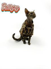 New pet leopard print pattern two-legged clothes cat dog autumn and winter schnauzer puppy teddy small dog than panda clothes sp