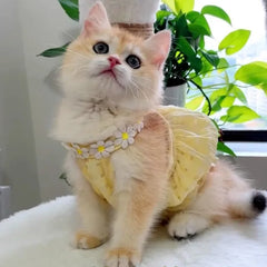 Cat Clothes Daisy Flower Gauze Tutu Dog Dress Vest Apparel Skirt Clothes Pet Puppy Birthday Princess Clothes for Cats