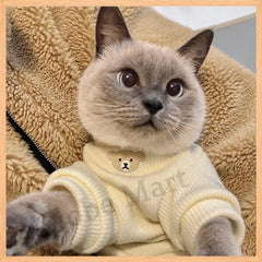 Winter Warm Pet Clothes For Cats Ragdoll British Shorthair Siamese Dogs Cute Anti Shedding Outfits Clothes for Both Dogs Cats