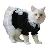 Cat Outfits for Cats Only Dog Clothes Lace Decors Dress Pet Costume Apparel Summer Clothing Accessory for Girl Drop Shipping