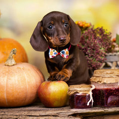 20PCS Adjustable Fall Dog Bow Ties Thanksgiving Collars For Small Dogs Party Dog Grooming Accessories Wholesale Pet Supplies
