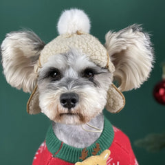 Winter Dogs Hat Puppy Warm Comfortable Handsome Poilt Cashmere Dog Cap For French Bulldog Teddy Schnauzer Pet Accessories
