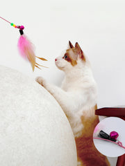 2PCS Feather Cat Teasing Rod Bell Bird Cat Toy Elastic Wire Stick Flexible Interactive Pet Supplies