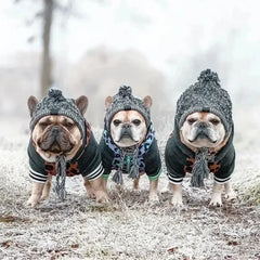 Winter Pet Dog Knitted Hat Warm Windproof Pet Hats Woolen Fashion Cat Headband Autumn and Winter Fur Ball Warm Windproof Pet Hat