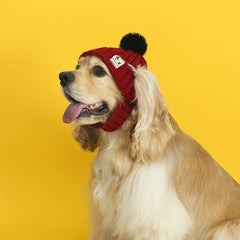 Knitted Dog Hat with Pom Pom Ear Exposed Winter Windproof Pet Cap Warm Knit Puppy Clothing for Small Dogs Christmas Photo Props