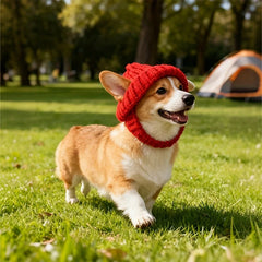 Cute Knitted Dog Beanie Hat, Warm Pet Headwear for Corgi & Small Dogs, Fashionable Red Winter Dog Hat, Essential Pet,Christmas