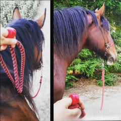 The Ring Rattle Ring Is Suitable For Cats Dogs Rabbits Parrots And Is A Universal Pet Training Equipment And Accessory For Dogs