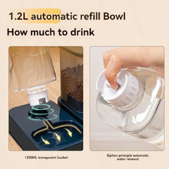 1/2 Pcs Pet Water Dispenser And 1 Pet Food Dispenser Set, Cat Water Dispensers, Pet Bowl Feeders