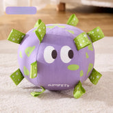 New Dog Football Toy Dog Tour Training Toy Ball Built in Bell Plush Voice Machine Washable Pet Ball ProductsCat and DogUniversal
