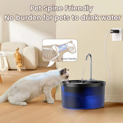 3.2L Cat Water Fountain,Pet Water Dispenser With Filter,Dog Drinking Fountain For Cats,Ultra Quiet Water Pump