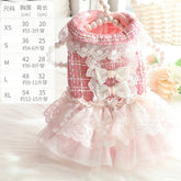 Luxury Cat Clothes Autumn Winter Skirt Lace Pet Princess Dress Clothes for Small Dog Poodle Maltese Kitten Costumes