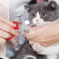 Pet Nail Half Moon Nail Scissors Suitable For Cats And Dogs And Other Small Pet Nail Care Grooming Scissor Claw nail