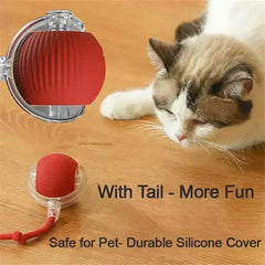Cat Toys Electric Dog Ball Toys Automatic Rolling Ball Rechargeable Pet Interactive Plush Toy Dog Cat Training Imitate Mouse