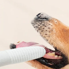 Soft Pet Finger Toothbrush 10pcs Finger Sleeve Brushes Remove Tartar Cochlear Clean for Dog Cat Toothbrush Pet Oral Care