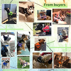 Service Dog Harness Emotional Support Pet Vest Harness Reflective Breathable and Adjustable NoPull ESA Dog Harness for Small Me