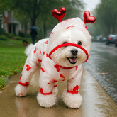 Dog Raincoat,Waterproof Rain Poncho with Hoodie, Adjustable Pet Rain Jacket with Leash Hole for Small Medium Dogs