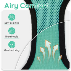 Cat Puppy Outdoor Walking Supplies Fashion Pet Harness and Leash Set for Small Dogs Cats Breathable Durable Kitten Harnesses
