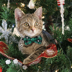 Christmas Cat Collars Breakaway with Bow Tie and Bell Christmas Adjustable Plaid Snowflake Collar Buckle Safety for Puppy Kitten