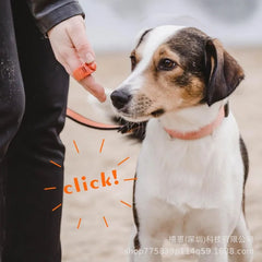 The Ring Rattle Ring Is Suitable For Cats Dogs Rabbits Parrots And Is A Universal Pet Training Equipment And Accessory For Dogs