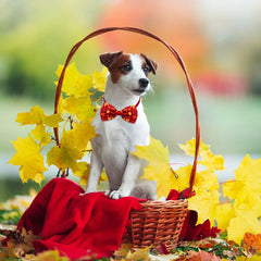 20PCS Adjustable Fall Dog Bow Ties Thanksgiving Collars For Small Dogs Party Dog Grooming Accessories Wholesale Pet Supplies
