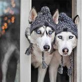 Autumn Winter Pet Hats Pet Puppy Warm Fluffy Ball Knitted Hat Windproof Knitting Cap For Small Medium Dogs Pet Supplies