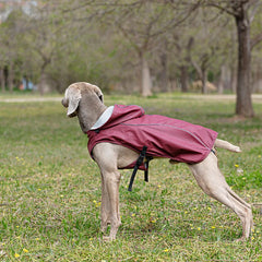 Dog Raincoat Rain Jacket with Reflective Harness and Removable Clear Hood Breathable Dogs Rain Coat Lightweight for Larrge Dogs