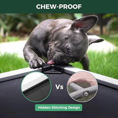 Durable Waterproof Elevated Dog Bed, Indoor/Outdoor, Cooling Cot for Small Dogs, 36x24x4.5, Black