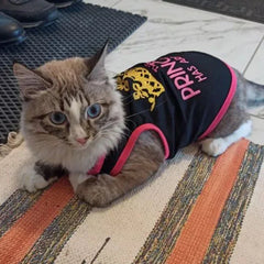 Summer Cotton Sphynx Cat T Shirt Vest for Small Cats Gotas Princess Print Pet Dog Clothes Garfield Kedi Shirts mascotas Clothing