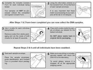 Unlocking Your Feline's Genetic Blueprint: The Ultimate Guide to Cat Breed and Health DNA Testing