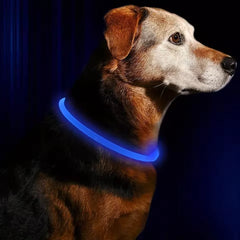 Dog luminous collar rechargeable size medium-sized dog adjustable anti-night anti-lost collar comfortable anti-bite large dog