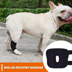 Dog Leg Brace Knee Brace Injury Anti-Licking And Biting Arthritis Surgery Recovery Bandage Brace Medium Large Pet Leg Fixed Belt