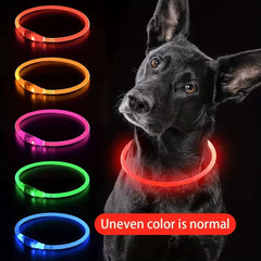 Dog luminous collar rechargeable size medium-sized dog adjustable anti-night anti-lost collar comfortable anti-bite large dog