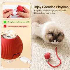Pet Automatic Rolling Ball Interactive Ball Cat Toy Electric Cat Dog Training Imitation Mouse Rechargeable Product