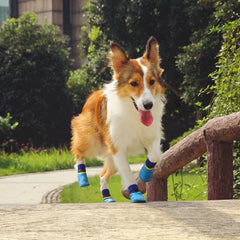 Pet Dog Waterproof Rain Socks Cotton Rubber Anti Slip Shoes Winter Warm Stockings Outdoor Boots For Puppy Medium Dog Protect Paw