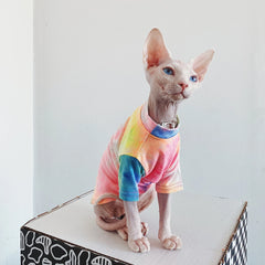 Hairless Cat Clothes, Breathable T-Shirt, Pet Clothes, Sphinx, Rainbow, Small Dogs Shirt, Clothing for Cats