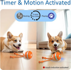ATUBAN Interactive Dog Toys,Motion Activated Dog Ball,Automatic Rolling Ball Toys for Puppy,Active Rolling Ball for Cats&Dogs