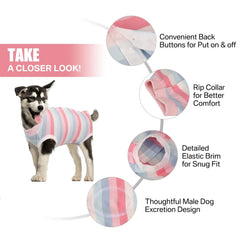 Pet Sterilization Surgery Suit Pet Dog T-shirt Dog Vest Clothes for Small Dogs French Bulldog Puppy Cat Suit Clothing