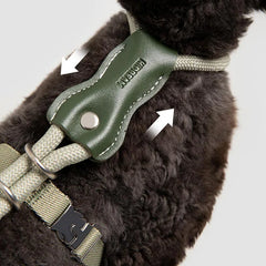 Cat Harness Leash Set Adjustable I-shaped Rraction Rope Chest Strap Pet Outdoor Supplies Breathable Harness Leash Puppy Cat Vest