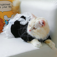 Cat Outfits for Cats Only Dog Clothes Lace Decors Dress Pet Costume Apparel Summer Clothing Accessory for Girl Drop Shipping