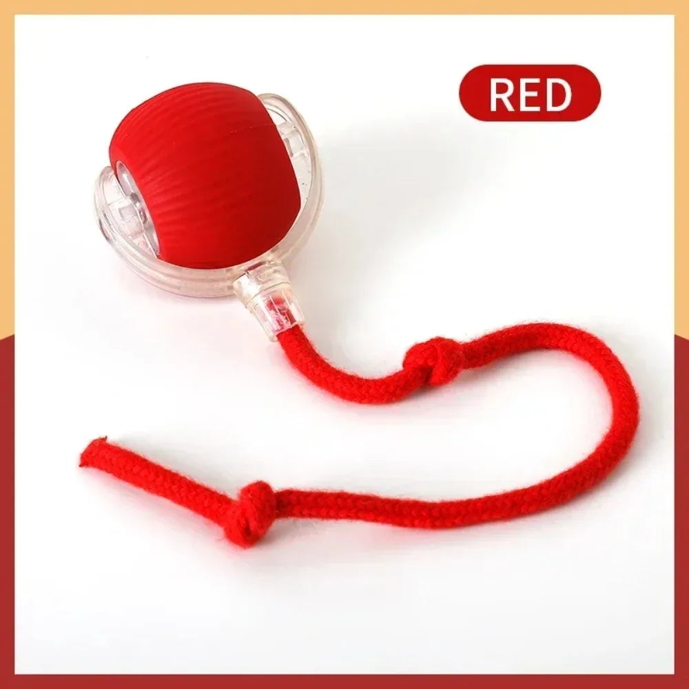 LEMEENQ Cat Interactive Ball Toy Auto Rolling Ball with Tail Rechargeable Smart Pet Interactive Toy Intelligent Mouse for Cat