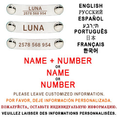 Reflective Cat Collar Custom Engraved ID Personalized with Bell Puppy Pet Breakaway Necklace Accessories Nameplate Collar