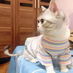 Spring Cotton Pet Cat Clothes for Cats Gotas Mascotas Clothing Sweet Stripe Puppy Sphynx Cat Katten Vest Shirt Ubranie Dla Kota