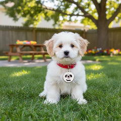 VerdantTrace Pet Anti-Loss Tracker Find My Tag Smart Locator Cat Dog Real-Time GPS Tracking No Distance Limit for iOS Android