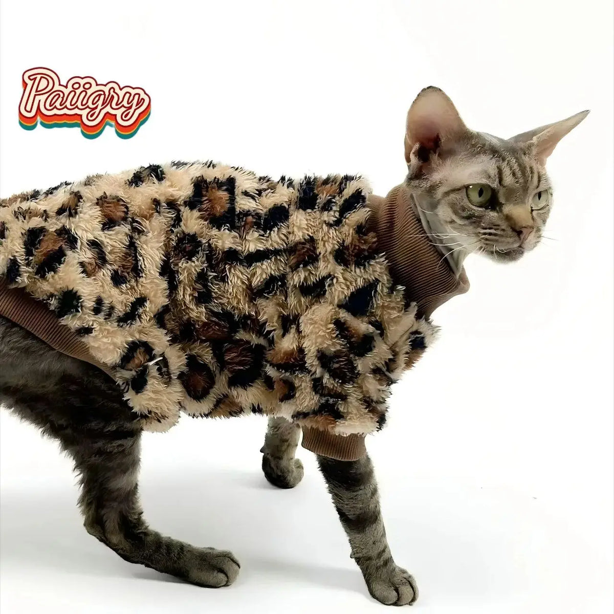 New pet leopard print pattern two-legged clothes cat dog autumn and winter schnauzer puppy teddy small dog than panda clothes sp