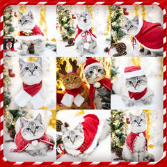 winter, Christmas Pet Scarves, Hats, Cat And Dog Headwear, Scarves, Cloaks, Hairbands, Cloaks, Christmas Clothes
