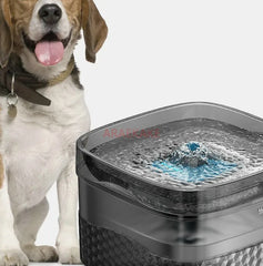Pet Water Fountain with Ultra Quiet Pump for Multiple Cats or Dogs Automatic Cat Drinking Dispenser