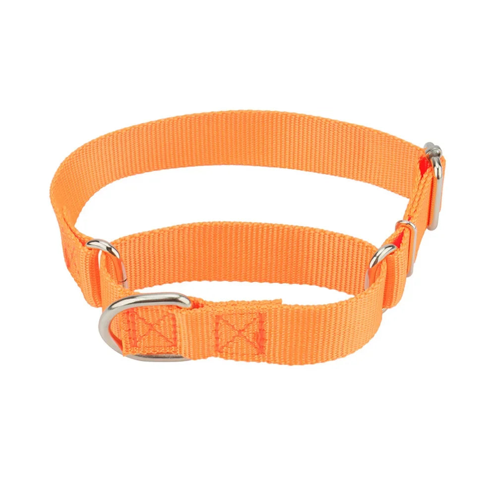 Martingale Collar for Dogs，Dog Collar with Durable Metal Buckle Adjustable Nylon Pet Collars Prevent Slipping Out Puppy Collars